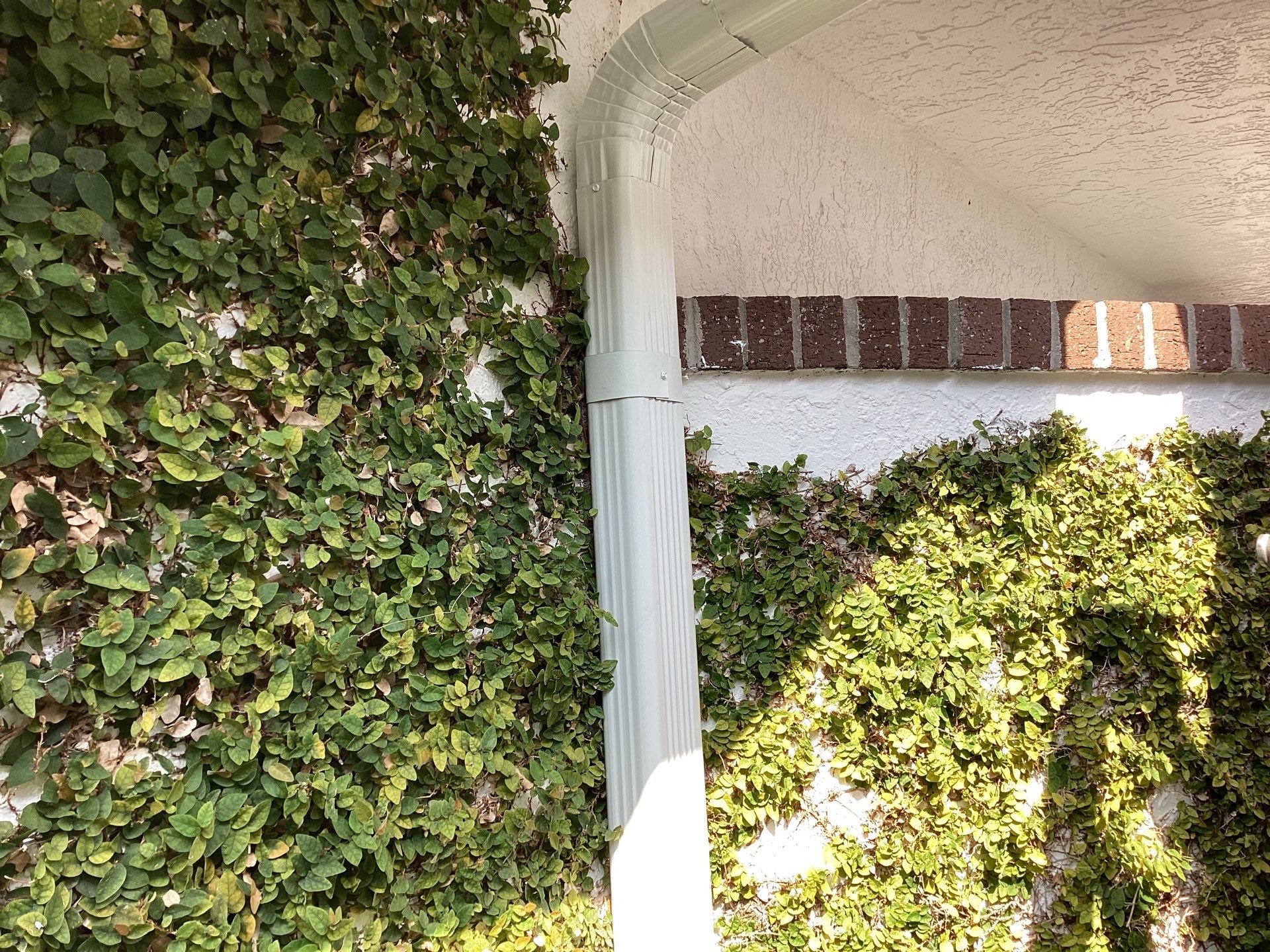 Brown Seamless Gutters using Royal Brown in Fort Myers FL by Gutter Professors