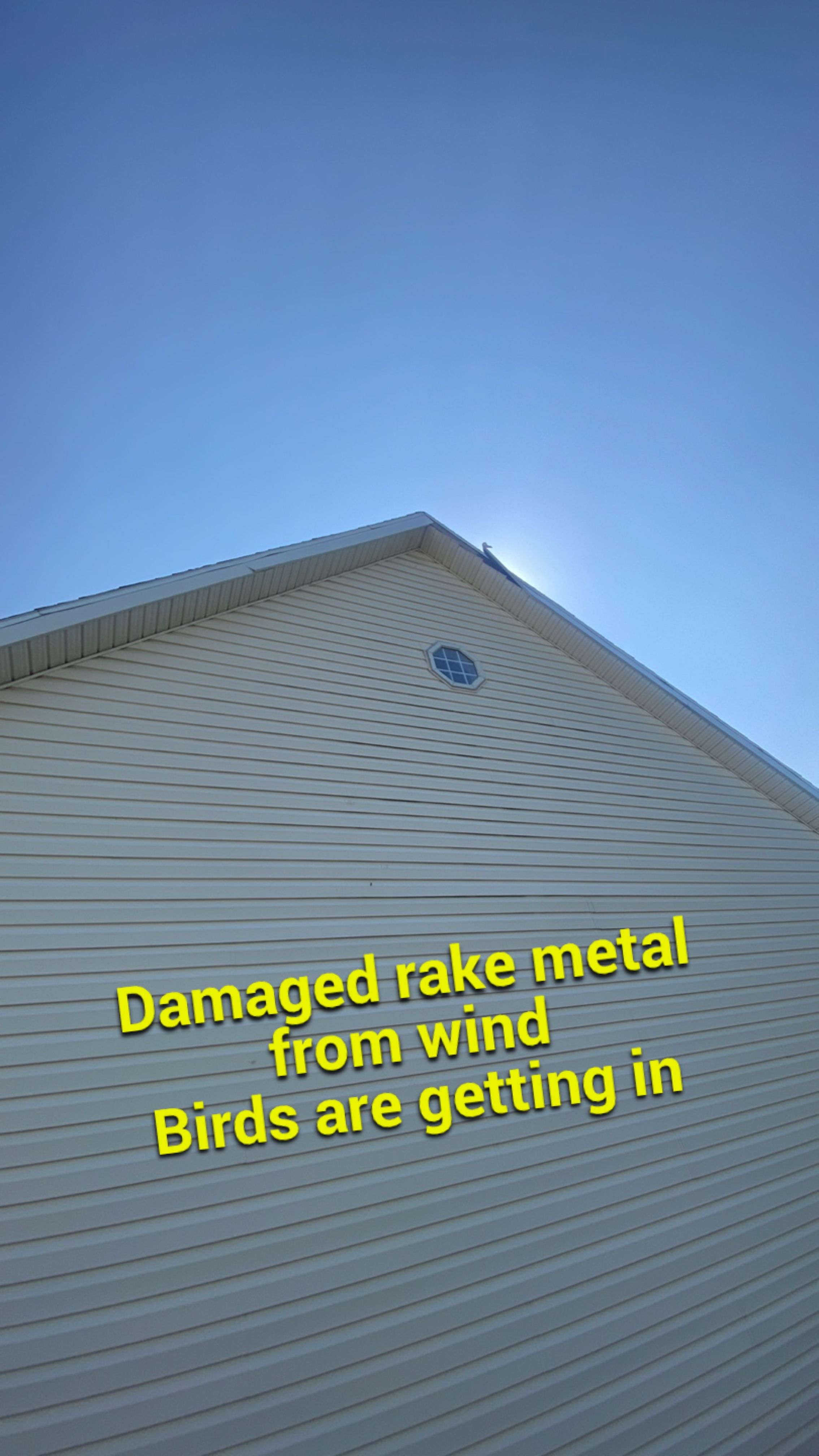 Roof Restoration in Westminster, MD • Leif J. by Seipp Roofing, LLC