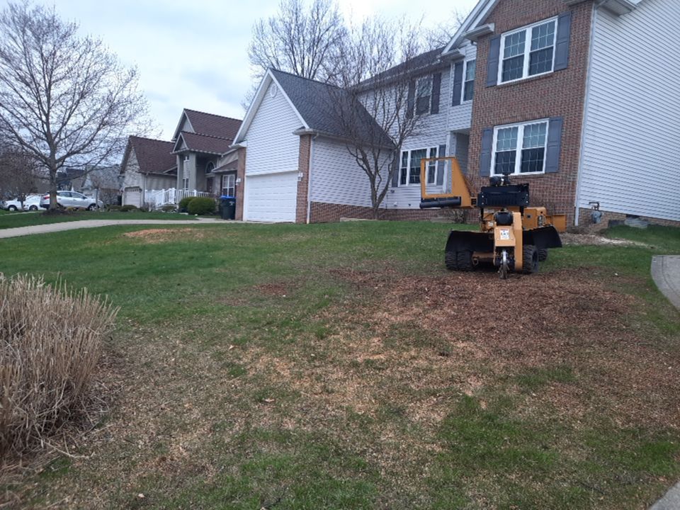 Tree Removal using Tree Removal by Mike Jones & Sons Tree Service LLC 