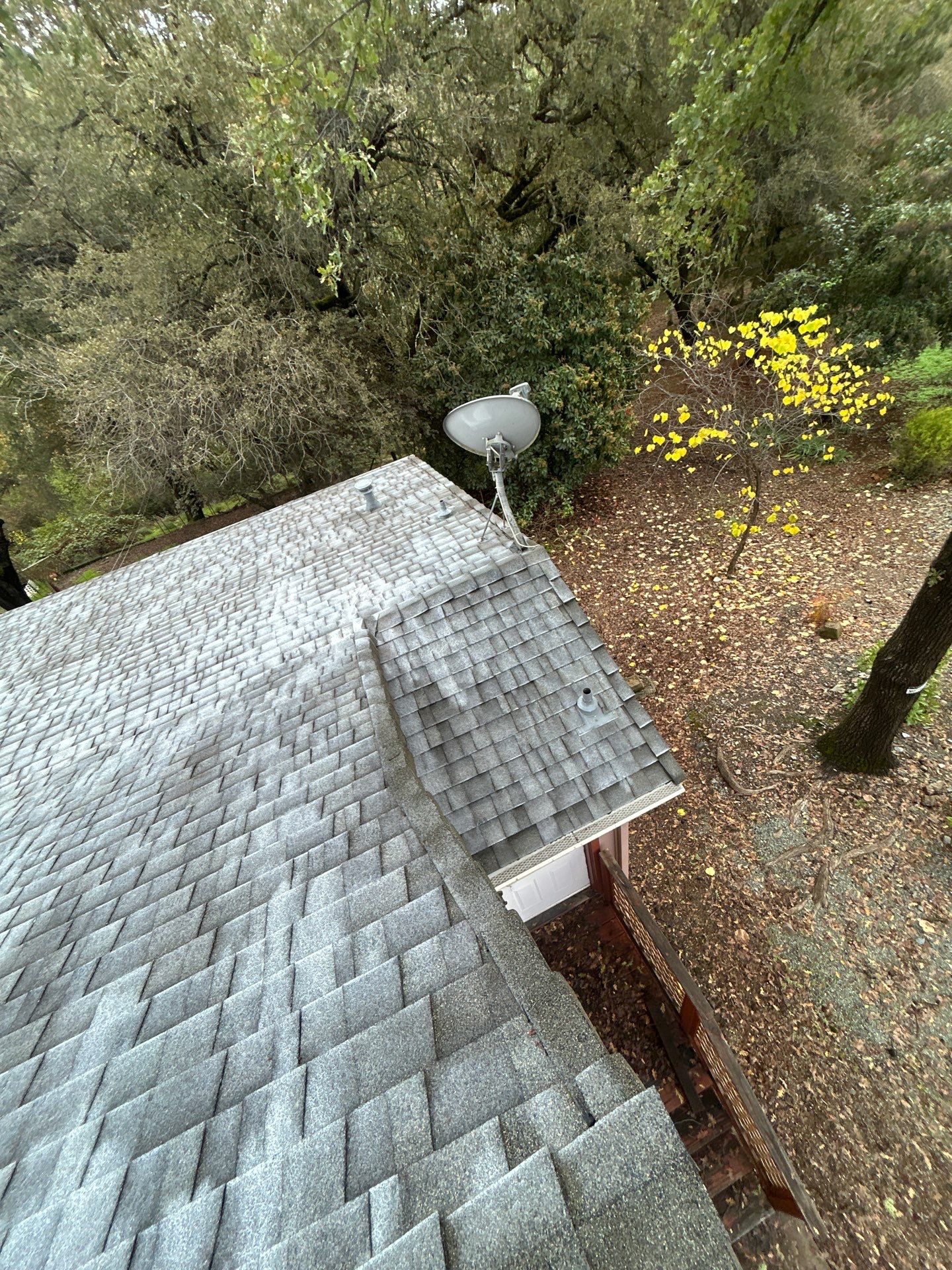 Roof Rejuvenation using Roof Maxx Treatment by Roof Maxx of Folsom
