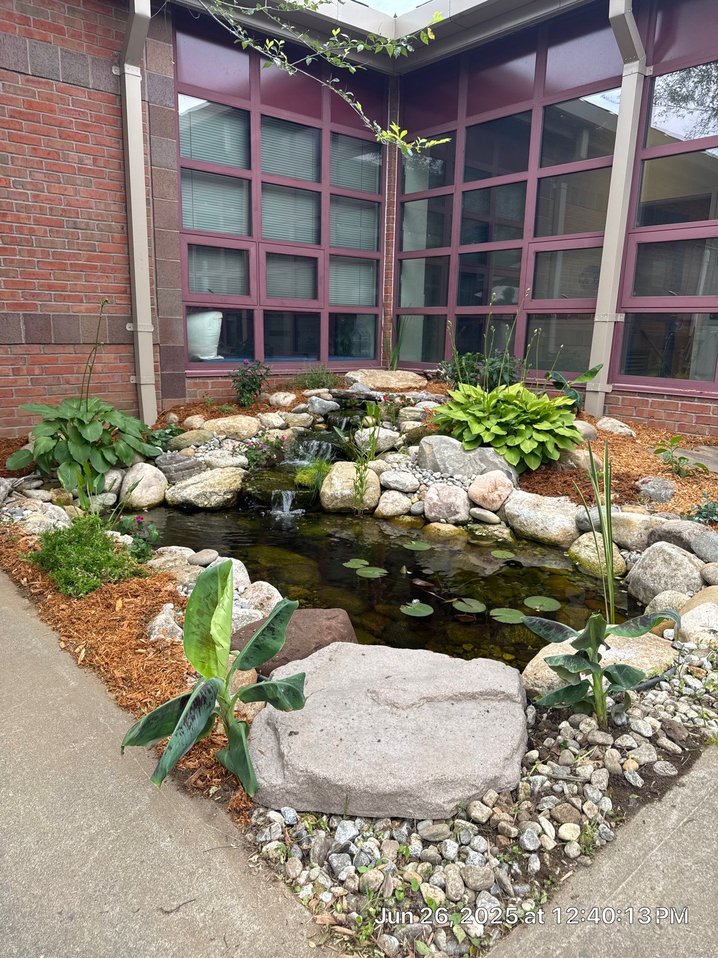 Deerfield Elementary School Koi Pond Build by Wicked Water Gardens