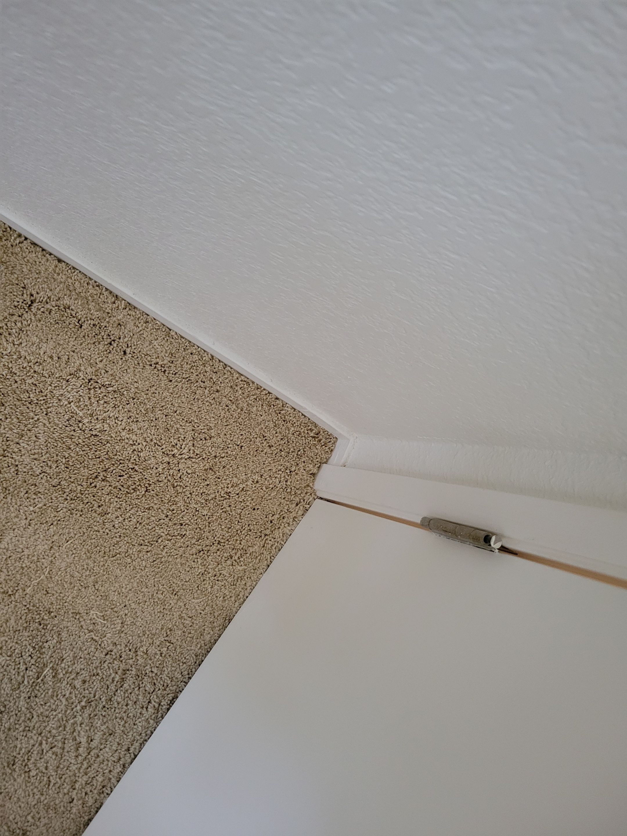 Carpet Re-stretching and Cleaning by Ardent Carpet Restore LLC