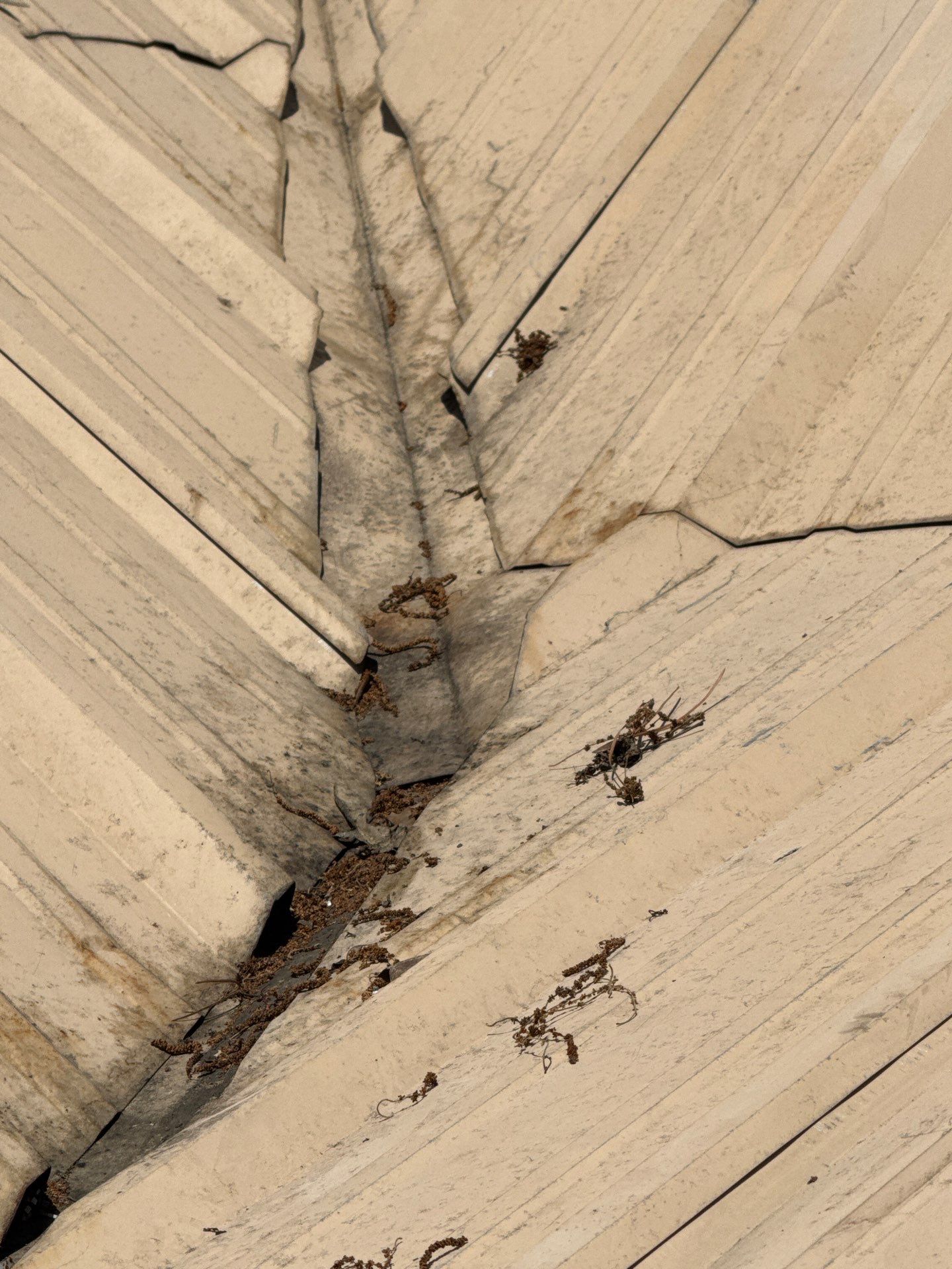 Roof Replacement in Cottondale (Light Stone) by The Roofing Dudes