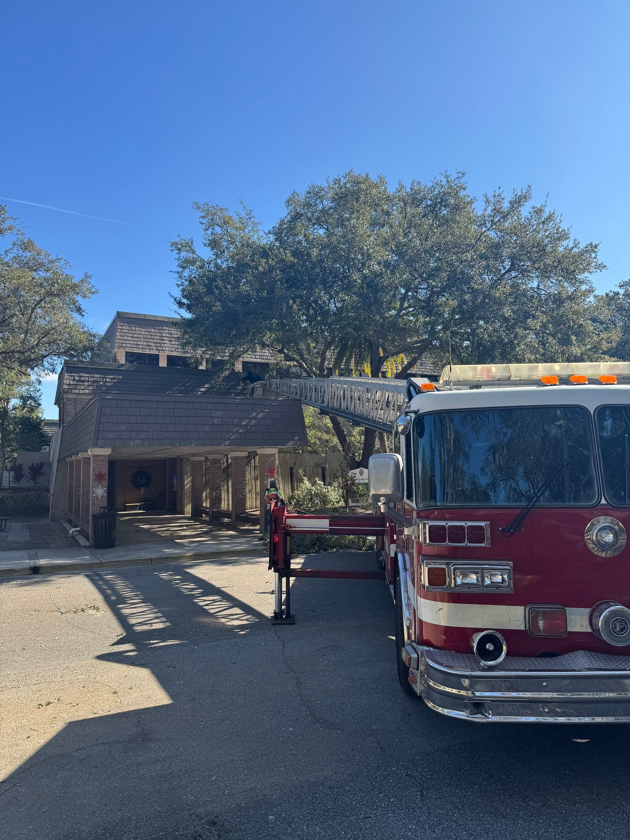 Volunteer Work | Episcopal High School of Jacksonville by ProGreen Services