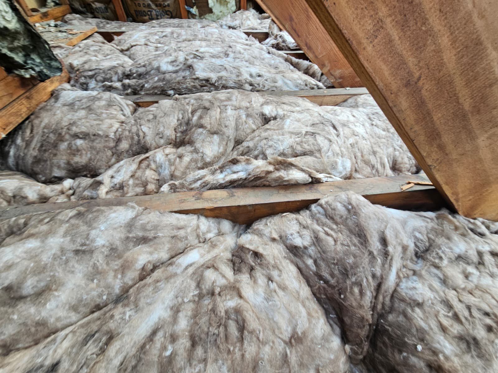 Owens Corning Duration: Harbor Blue in Westport by Golden Shield Roofing