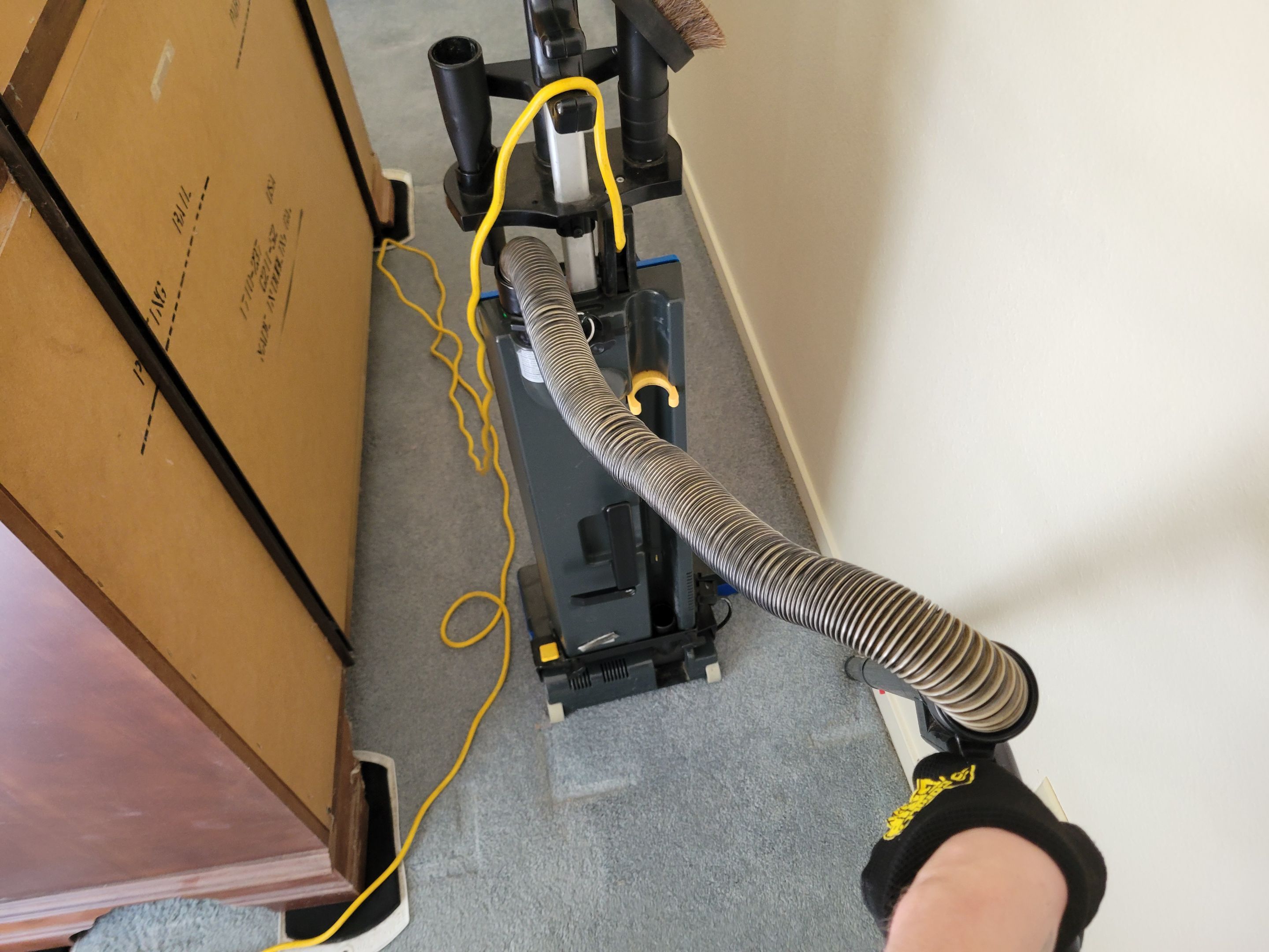 Overdue, Much Needed Carpet Clean by Ardent Carpet Restore LLC