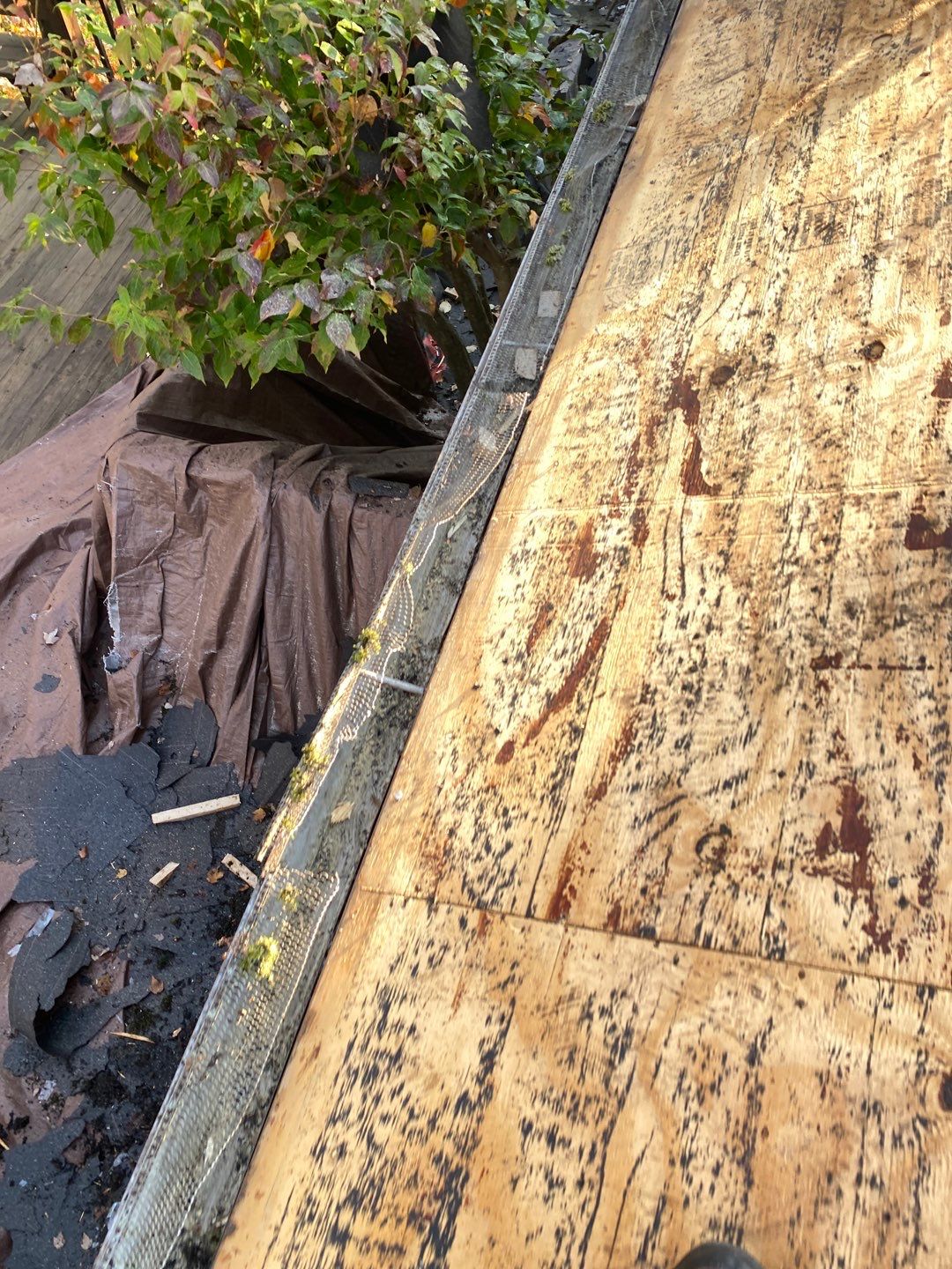 Residential Roofing Installation using Owens Corning Duration, Driftwood by Absolute Roofing and Construction