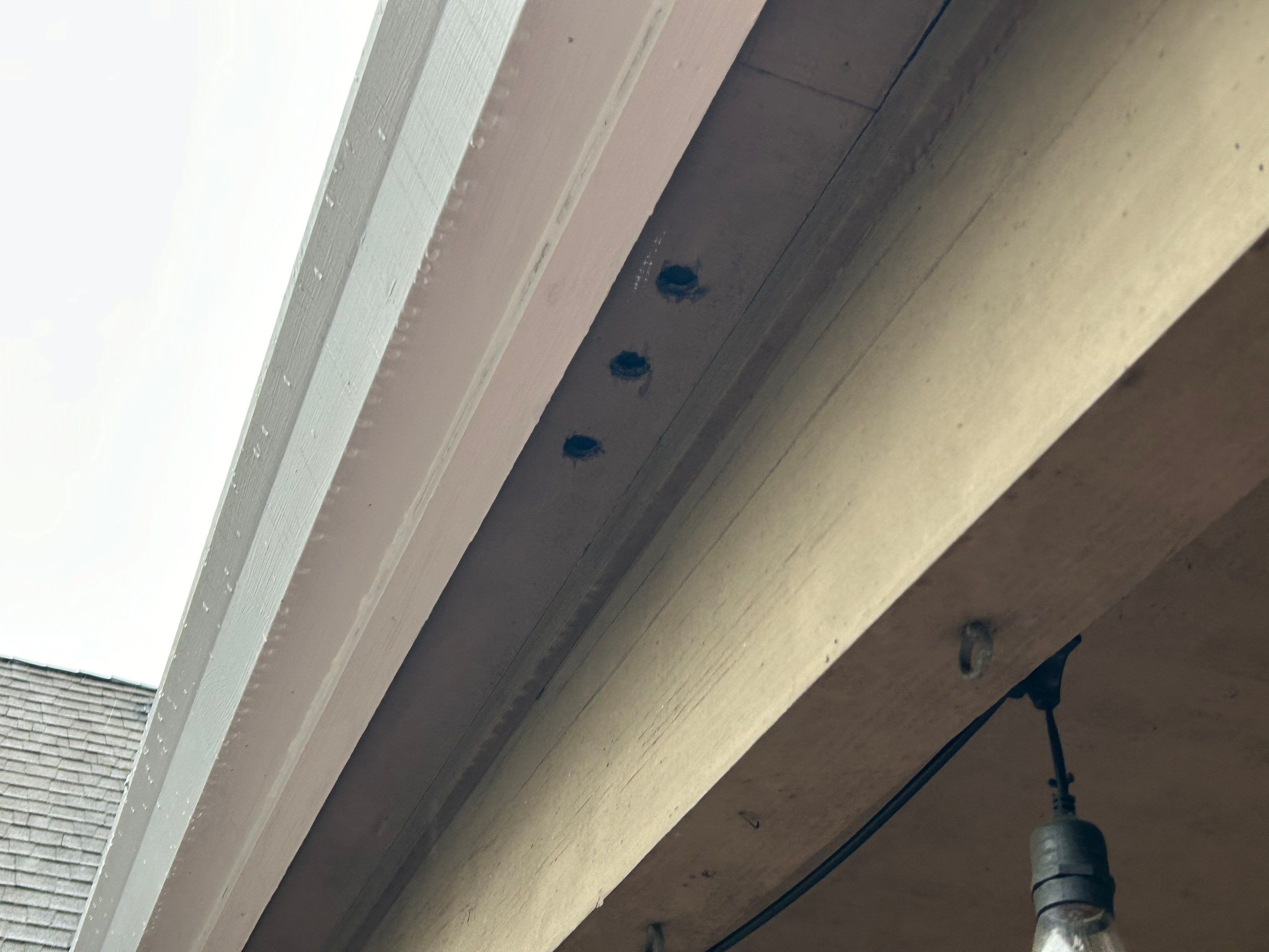 Roof Replacement in Beaverton by Prodigy Roof Solutions