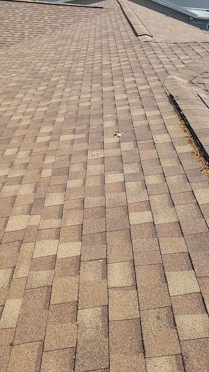 Shingle Reroof Replacement South daytona FL by Pinnacle Roofing Group