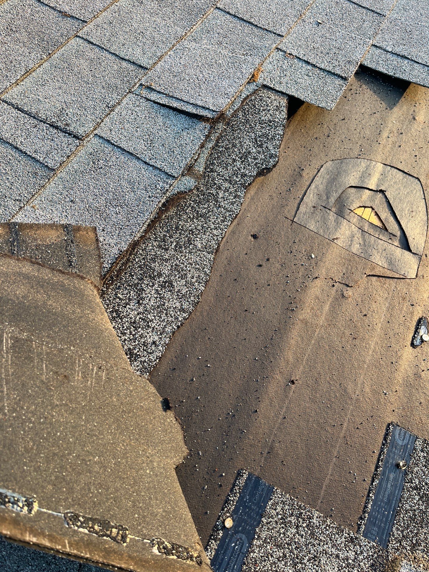 SUSAN G by Boss Hogg Roofing