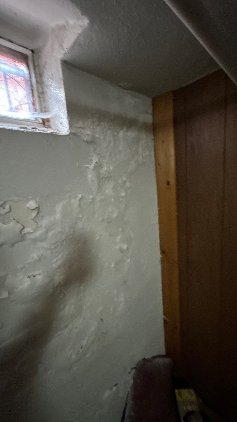 Mold Remediation by Accountable Home Services