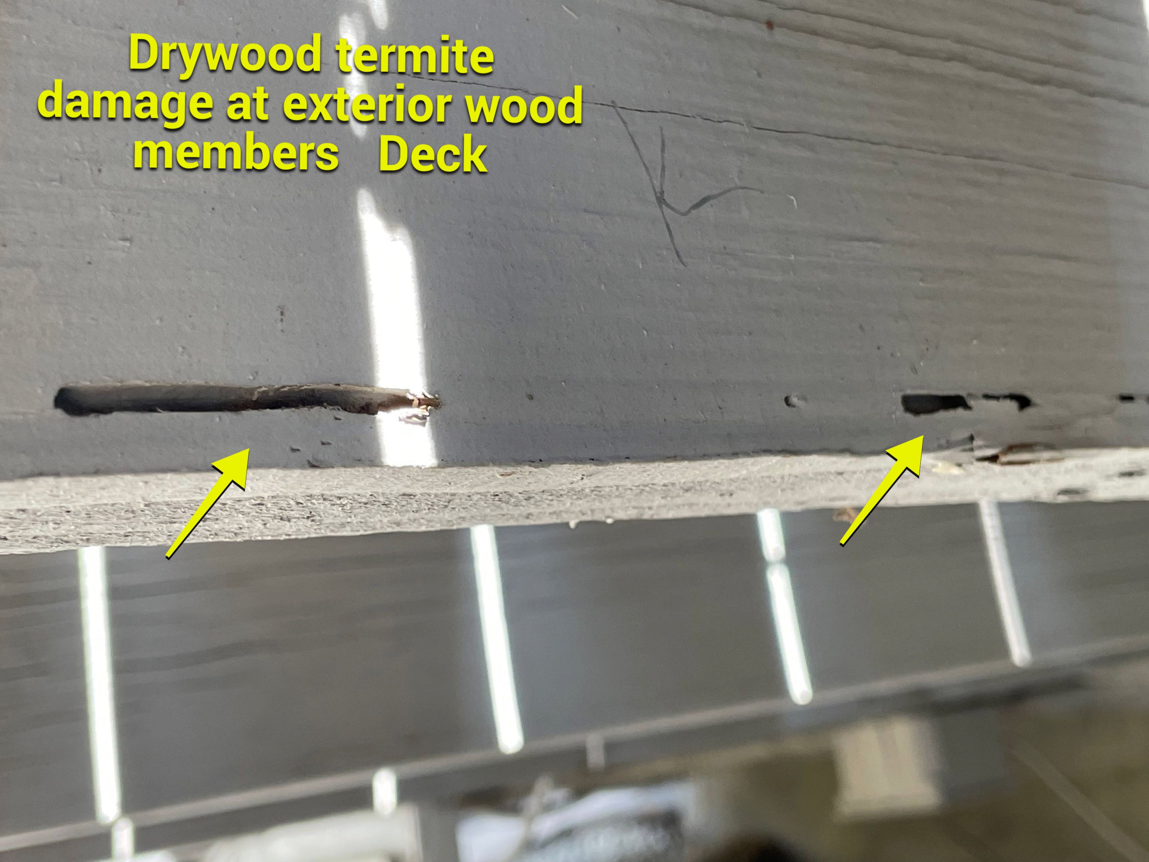 Wood Destroying Organisms Report by GLOBAL Termite Solutions