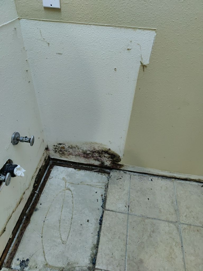 Mold Remediation by Accountable Home Services
