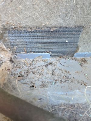 Project in Vancouver