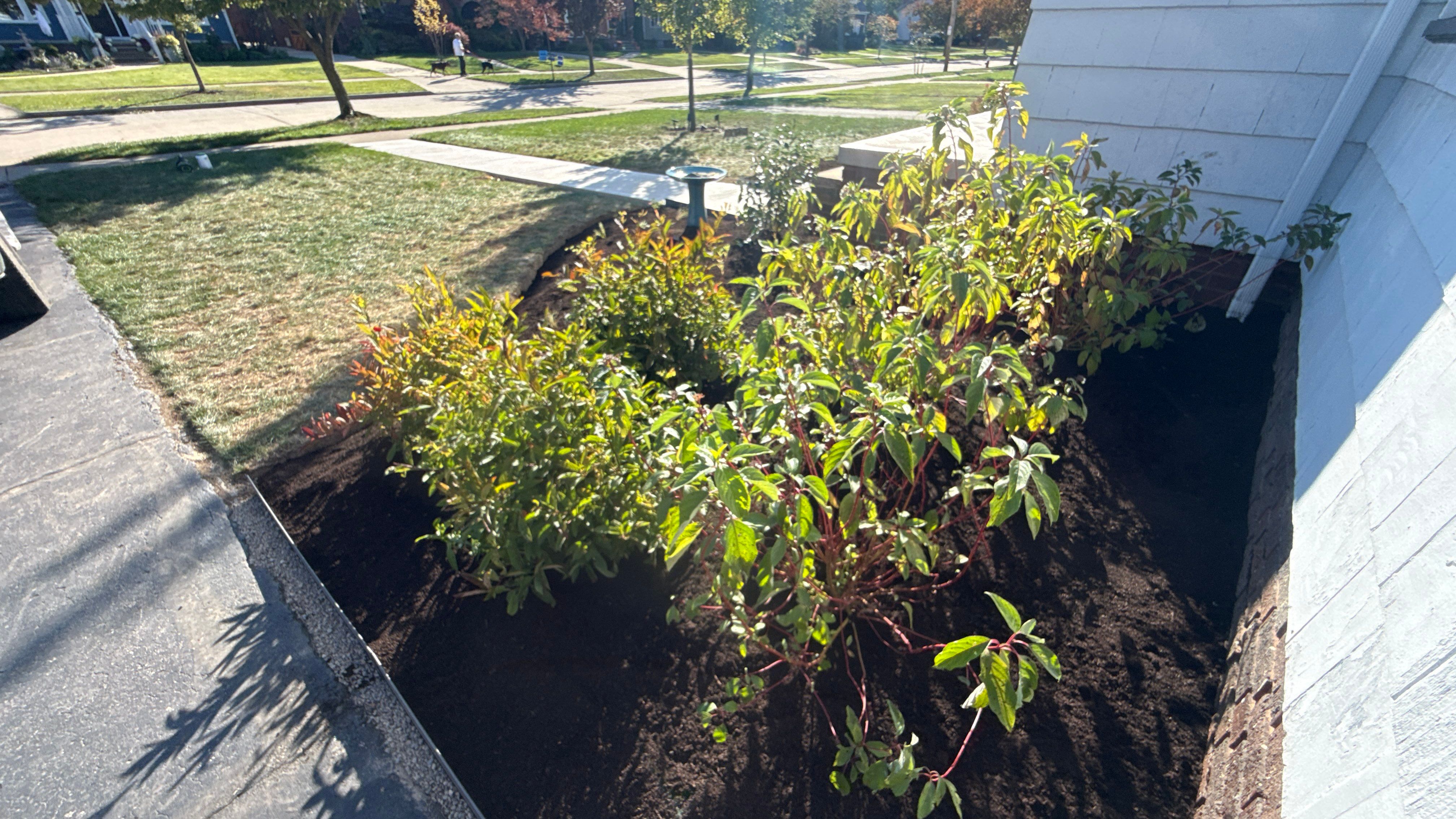Ohio Native Meadow by Elm Rose Gardens