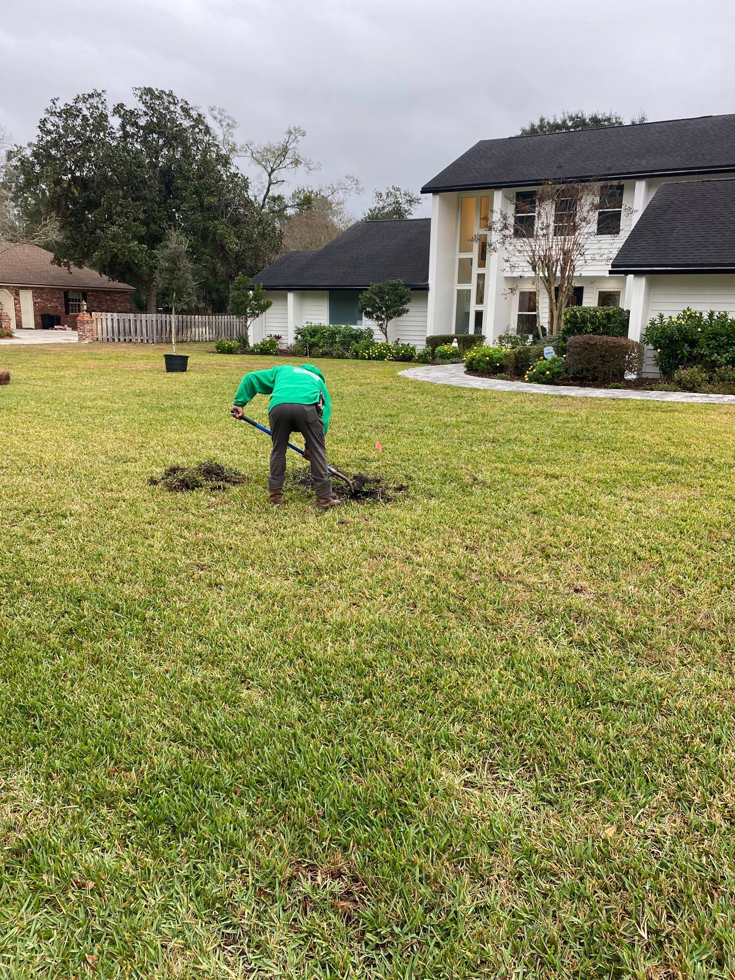 Deerwood | Live Oak Planting Project  by ProGreen Services