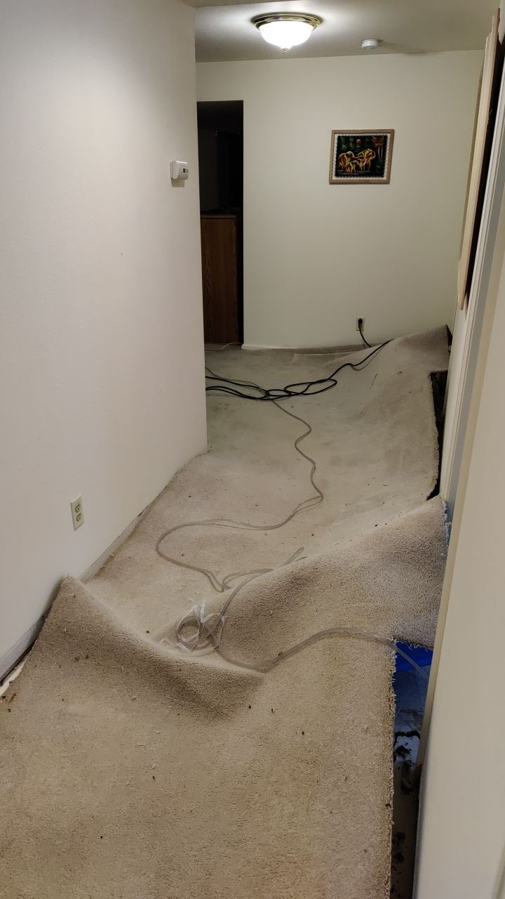 Water Damage by Accountable Home Services