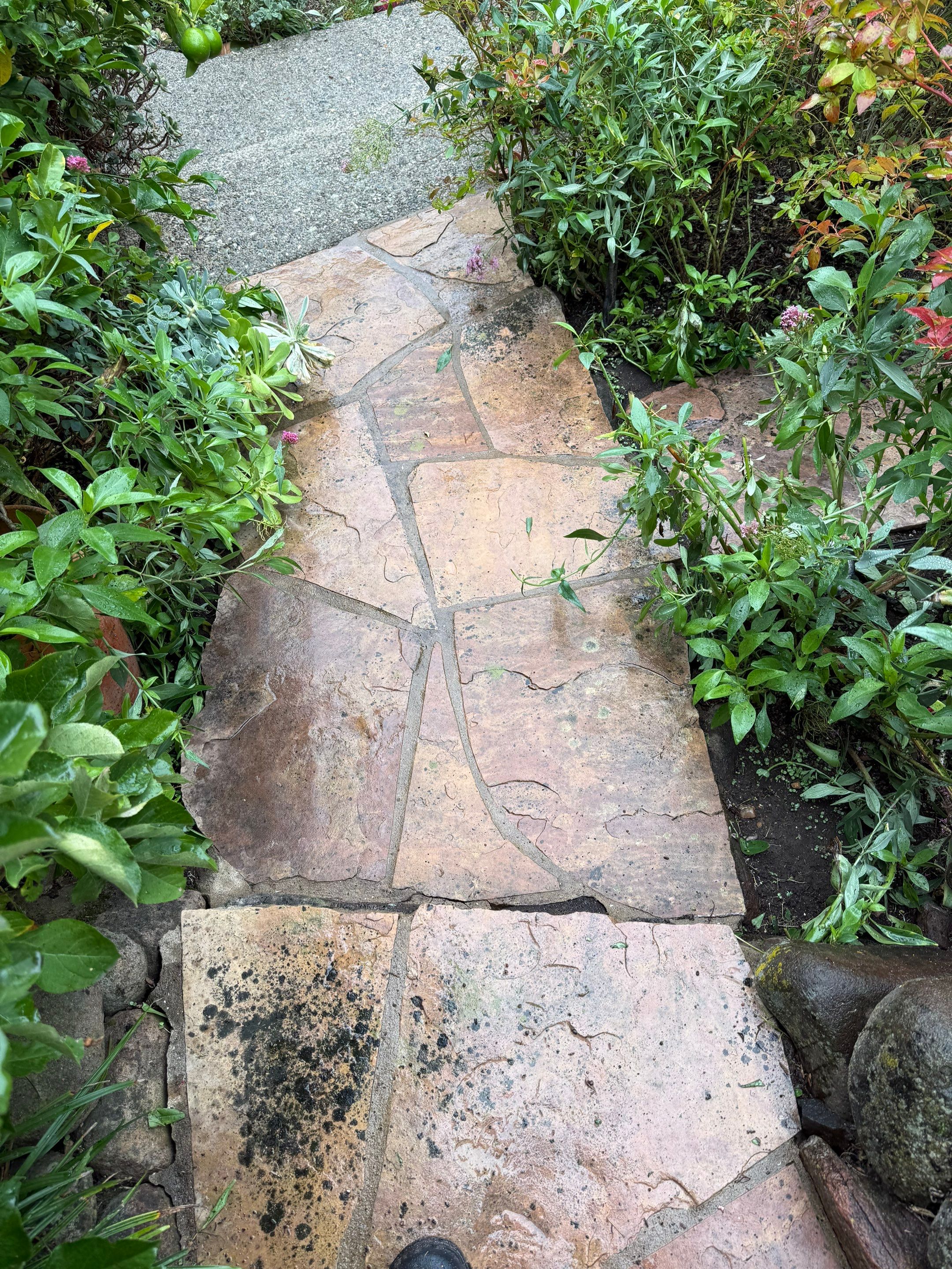 Full back garden refresh by SpotFree Window Cleaning