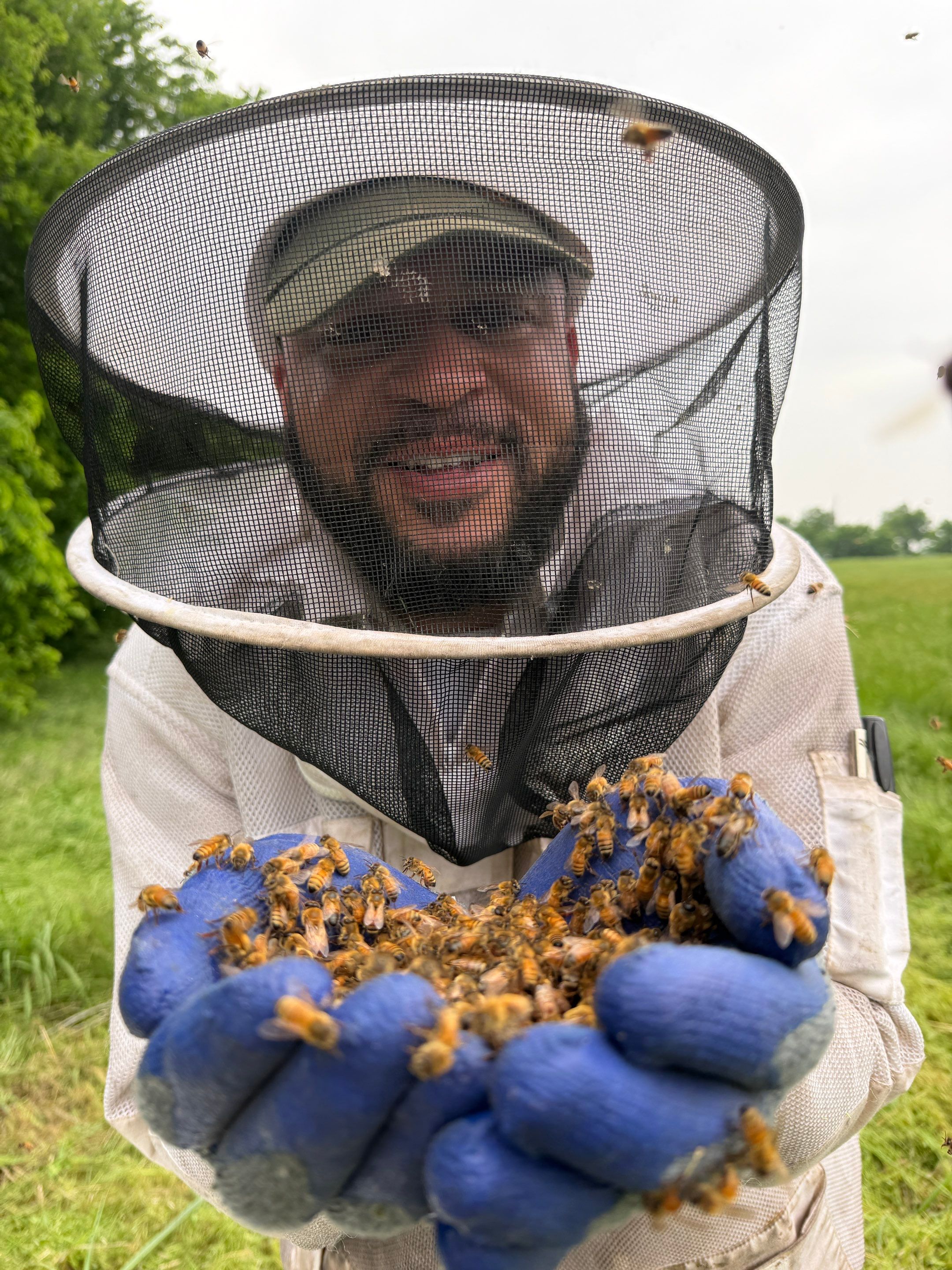 Special Use Valuation in McClendon-Chisolm by Rockwall Honey Bee Company