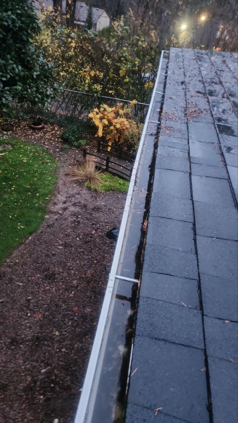 Driveway Repair using Pressure washing no chemicals by Willamette Outdoor Wash LLC