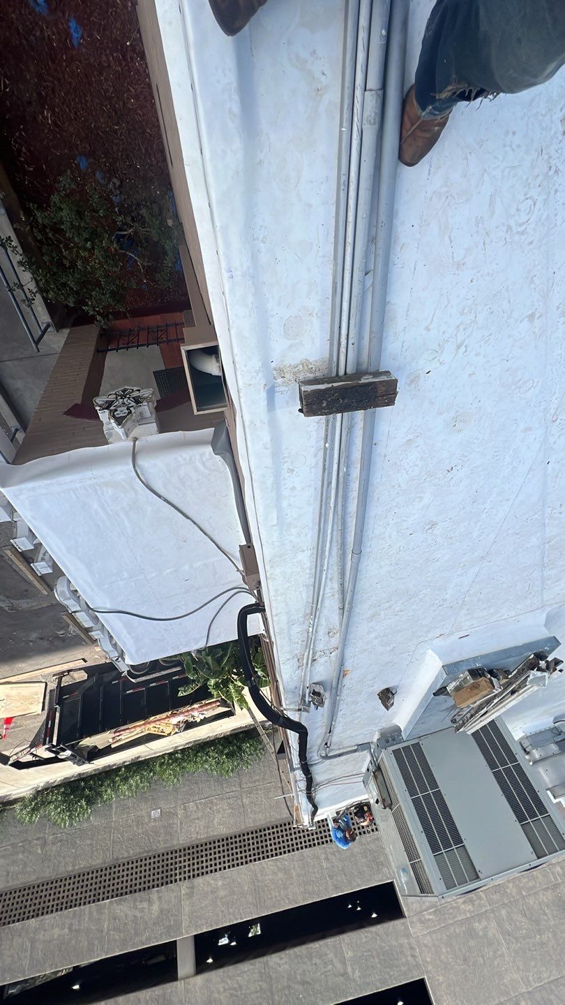 TPO THAI TOP by Bayfront Roofing and Construction