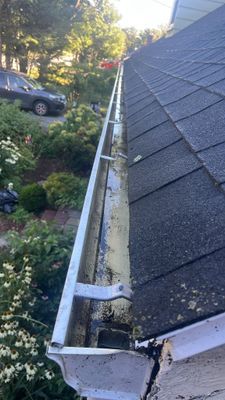 Roof Soft Wash & Gutter Cleaning – Maynard, MA