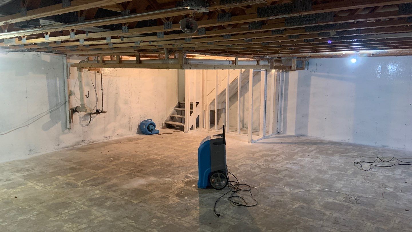 Grossly Contaminated Basement Mold by Chicagoland Water Medics