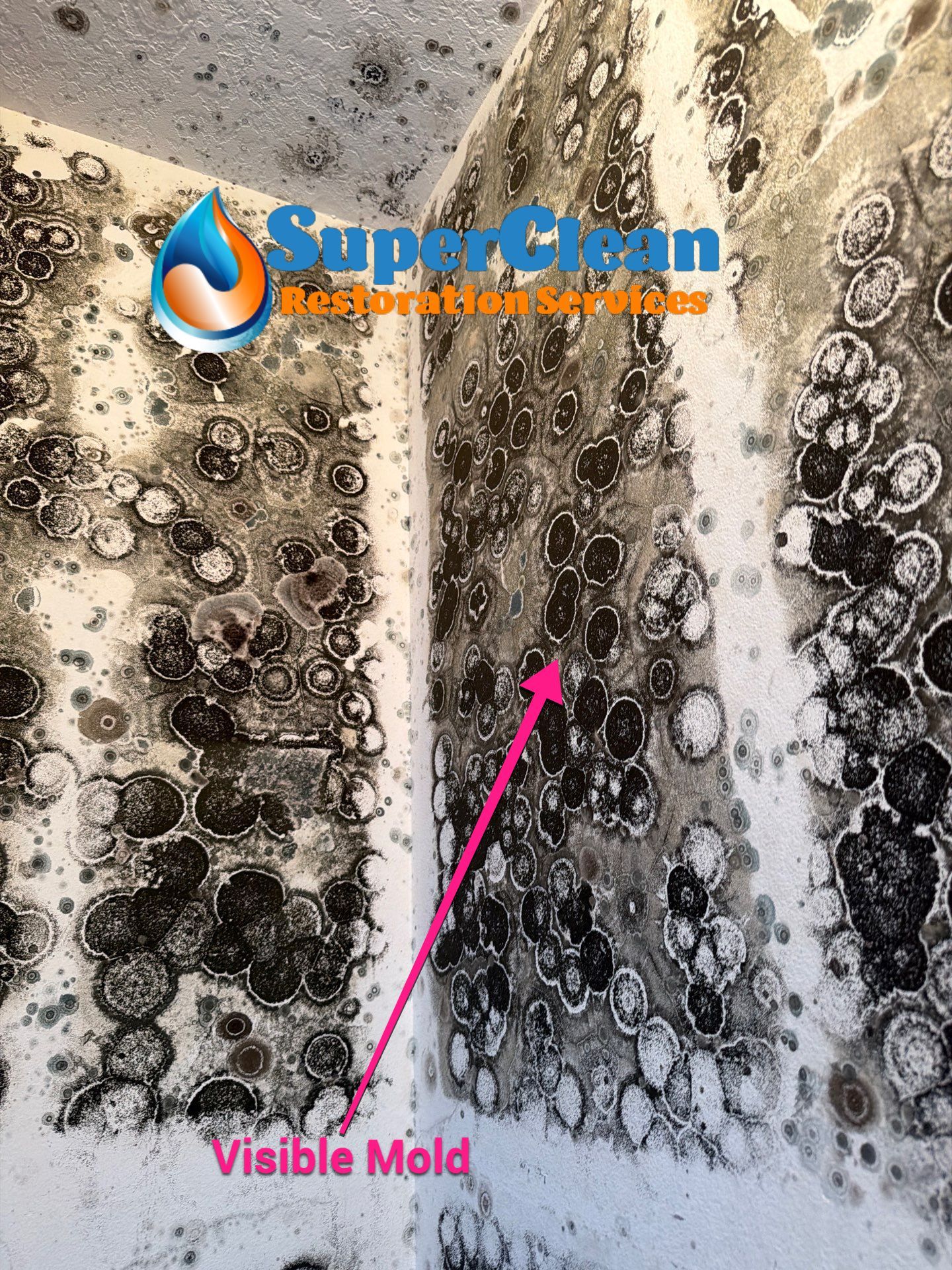Mold Remediation and Interior Structural Drying in Wellington, Florida by SuperClean