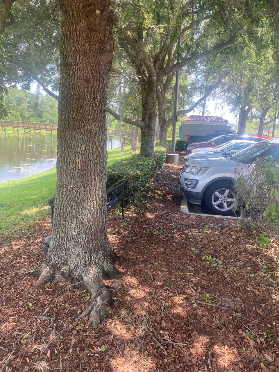 Homewood Suites | Tree Service by ProGreen Services