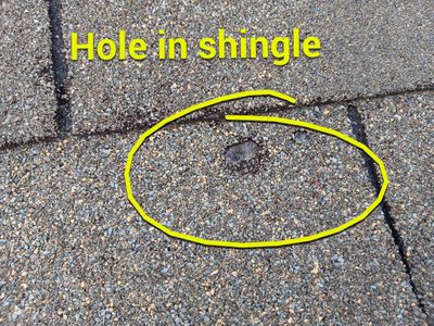 Residential Roofing Repair - 5 year old roof