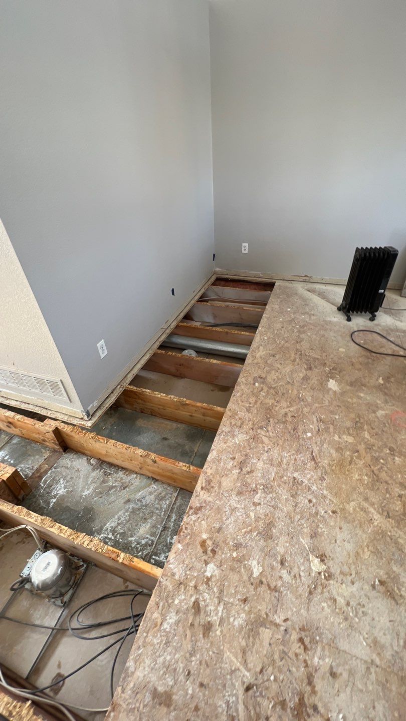 Mold Remediation by Accountable Home Services