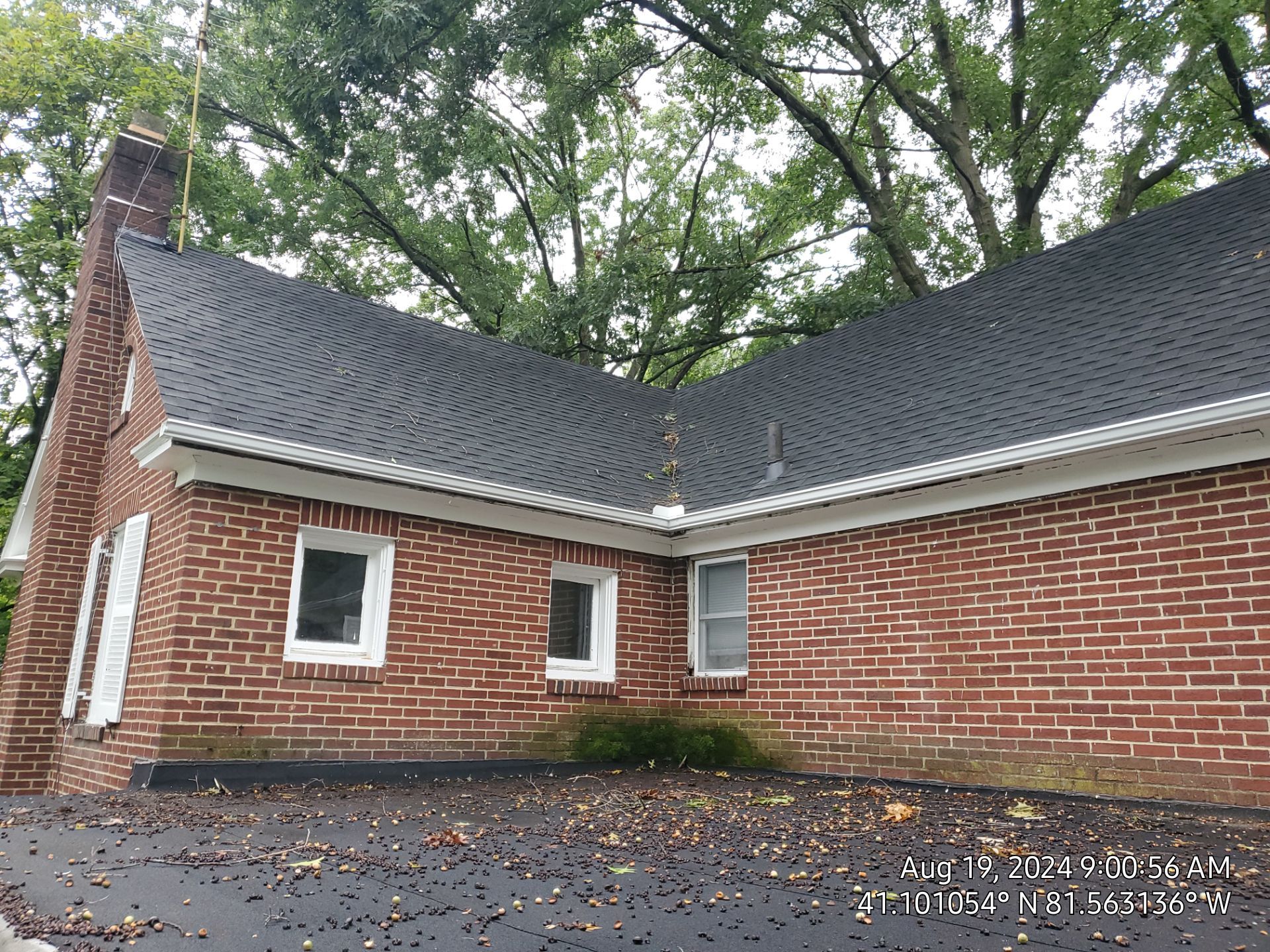 Laura Hostertter by Silver Leaf Contracting 