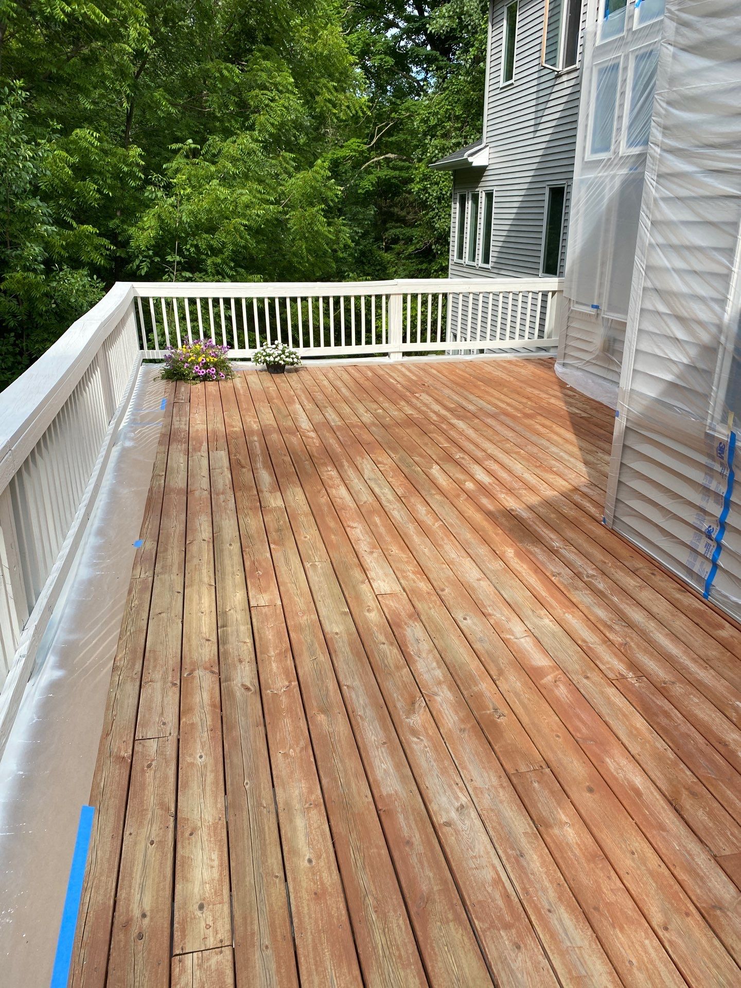 Deck and steps staining! by Gordon Painting