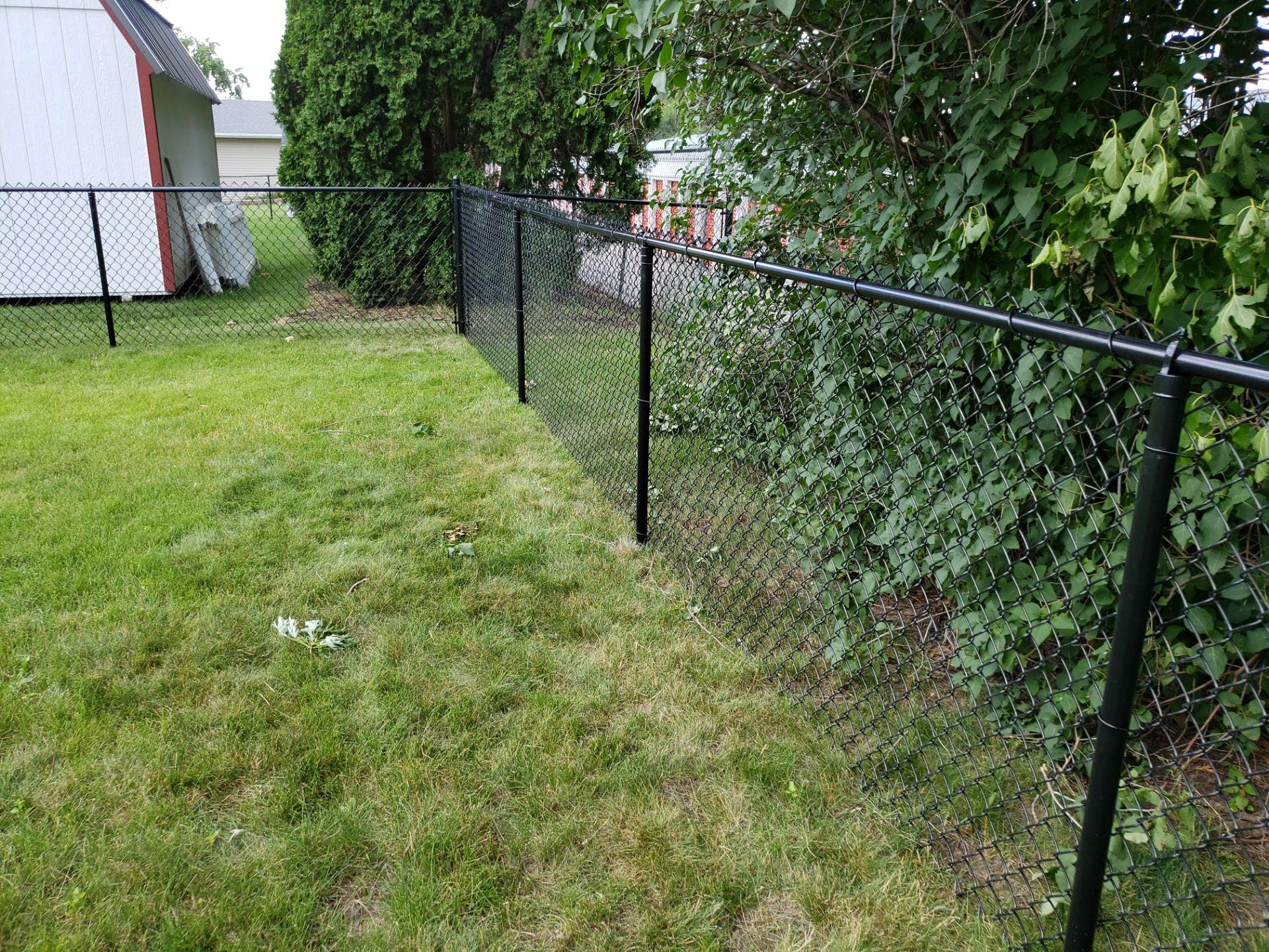 Project in Waterloo by Perfect Picket Fence and Stain