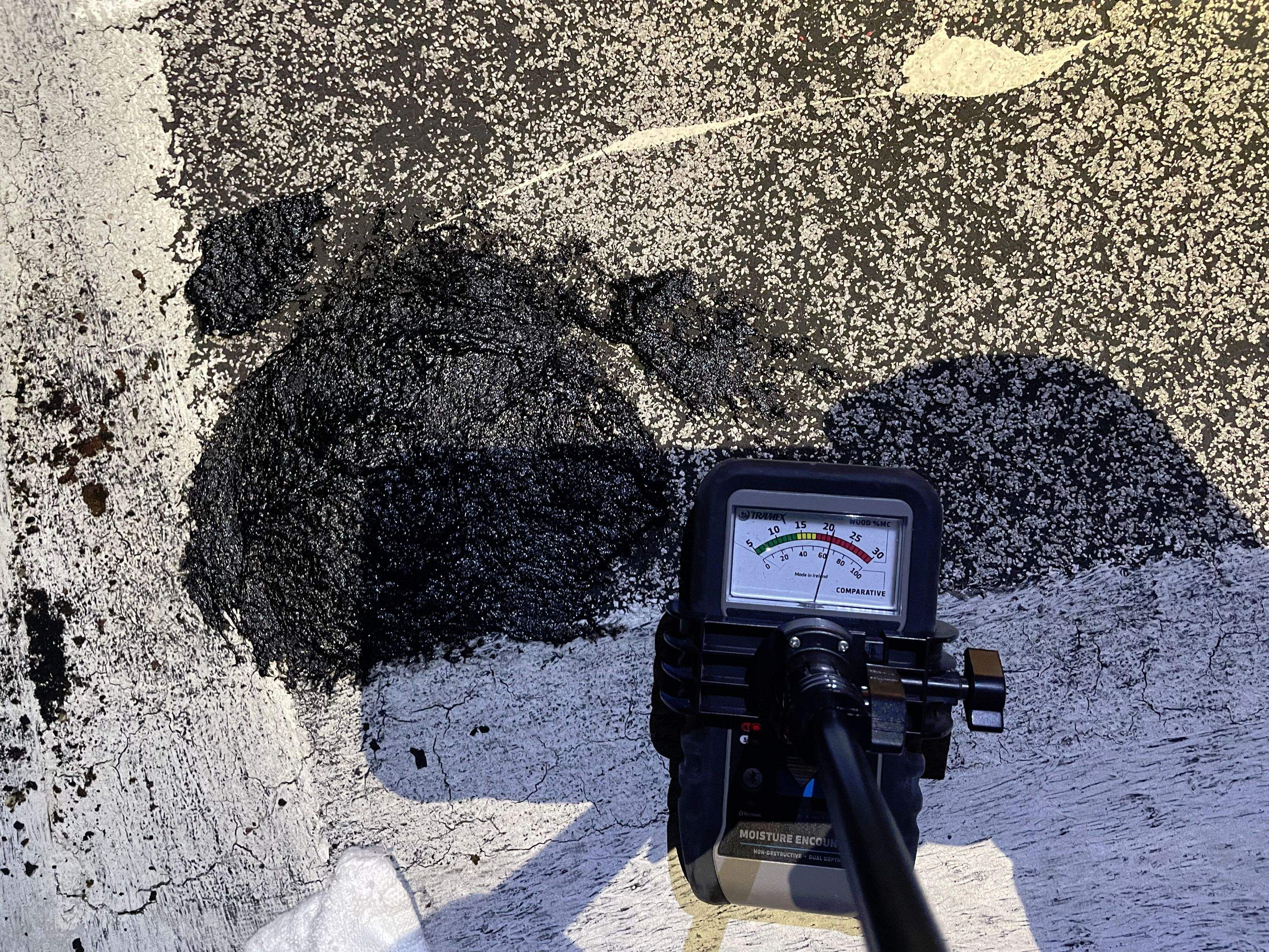 Moisture Report Prior to Roofing. by FLORIDA ROOF CONSULTING & INSPECTION SERVICES