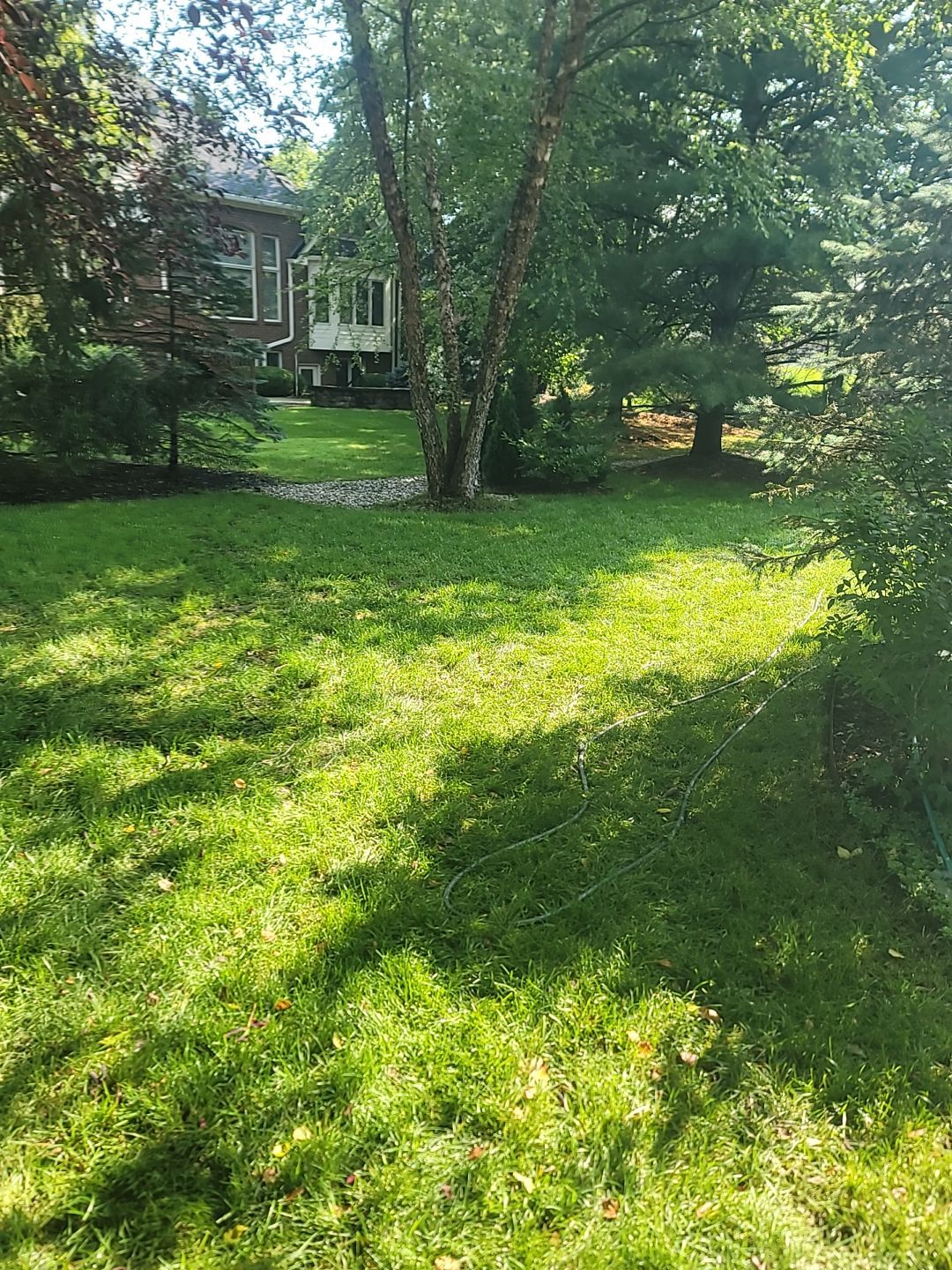 Exterior Drainage and Sump Pump System  by Homeward Environmental LLC