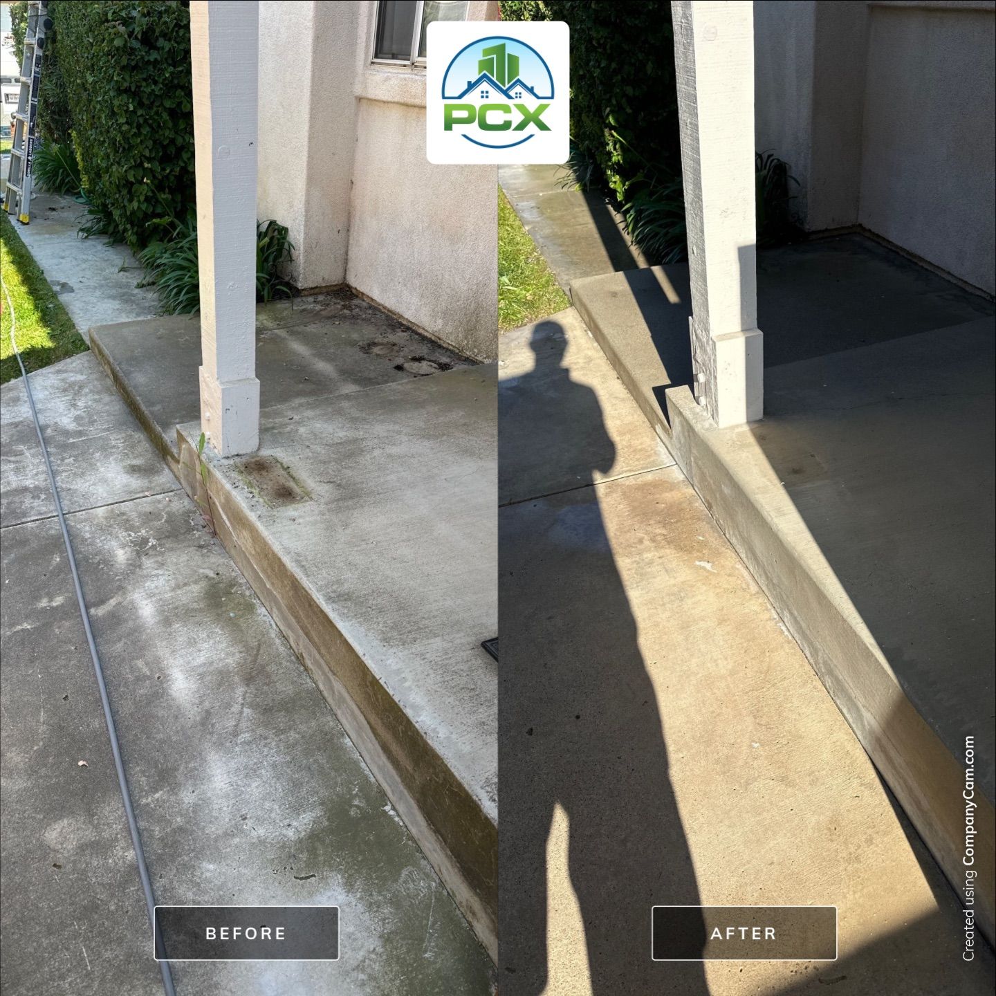 This home was COVERED in growth by Property Cleaning Experts, LLC