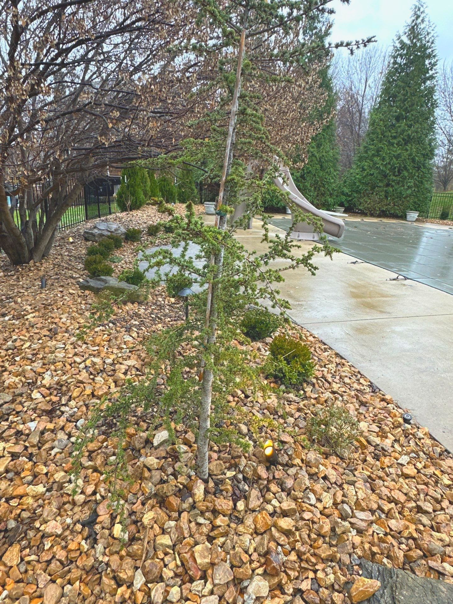 Pool Landscape by LAND ESCAPES LLC
