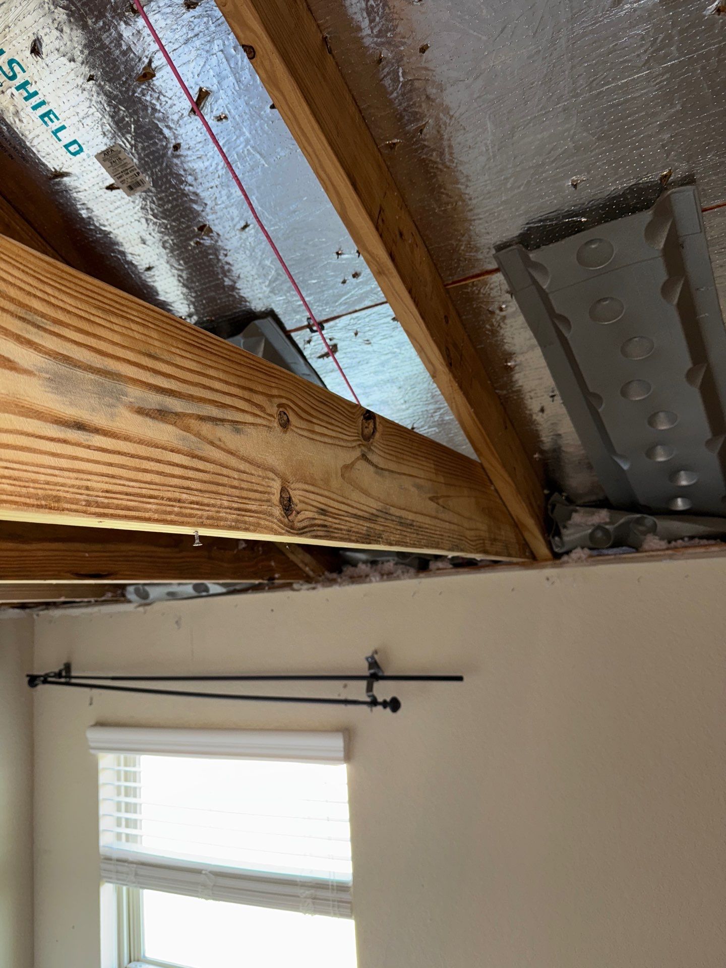 Mold Remediation Job in Katy by Team Home Solutions