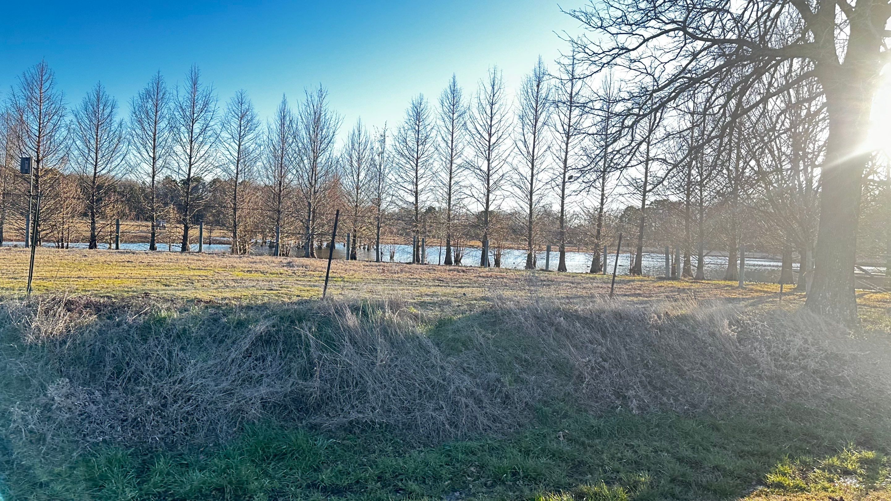 BeeGirl ETX HQ by Rockwall Honey Bee Company