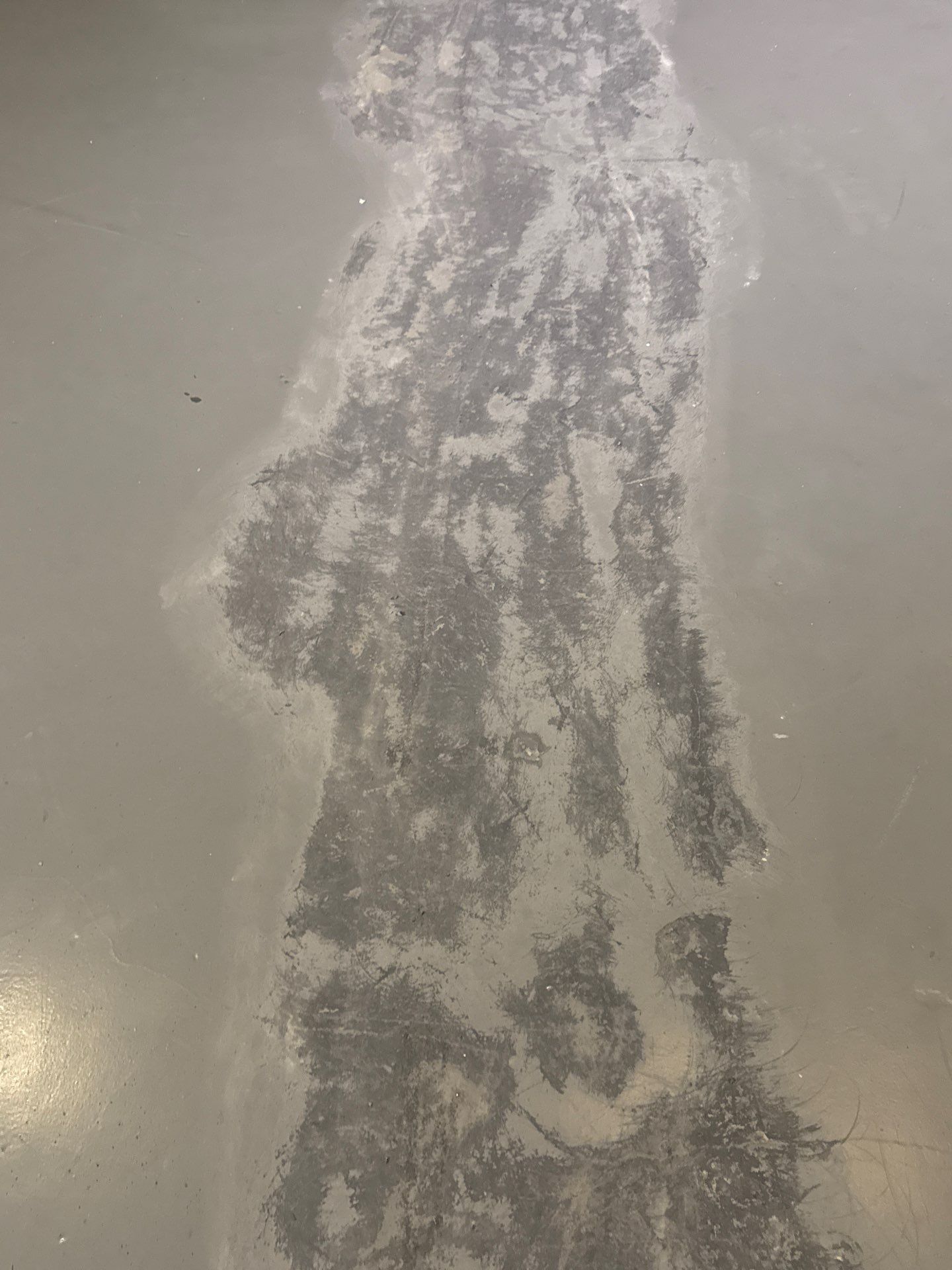 Grind off 20 layers of Paint Project in Pittsburgh by Floors in a Day, Inc