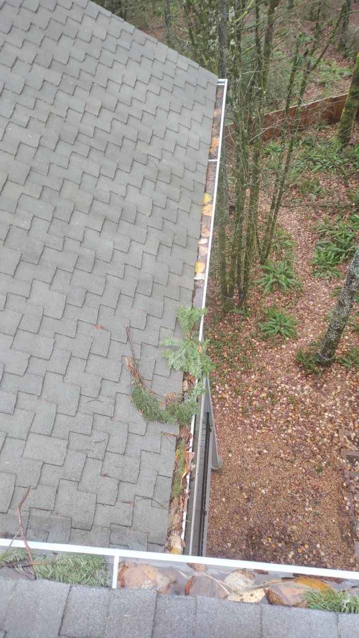 Gutter Cleaning by Paul Schopp