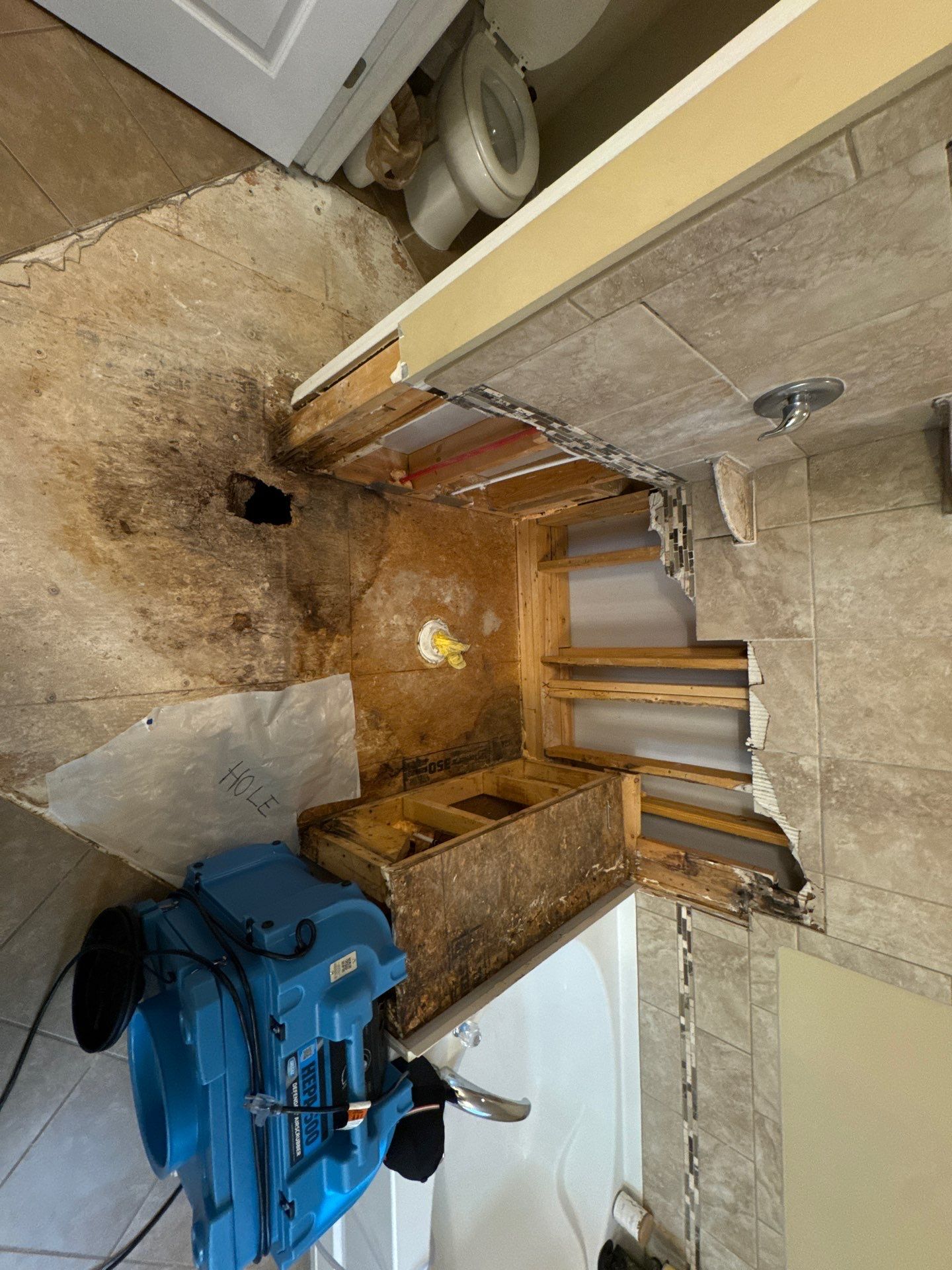 Master bathroom renovation by Prudencio