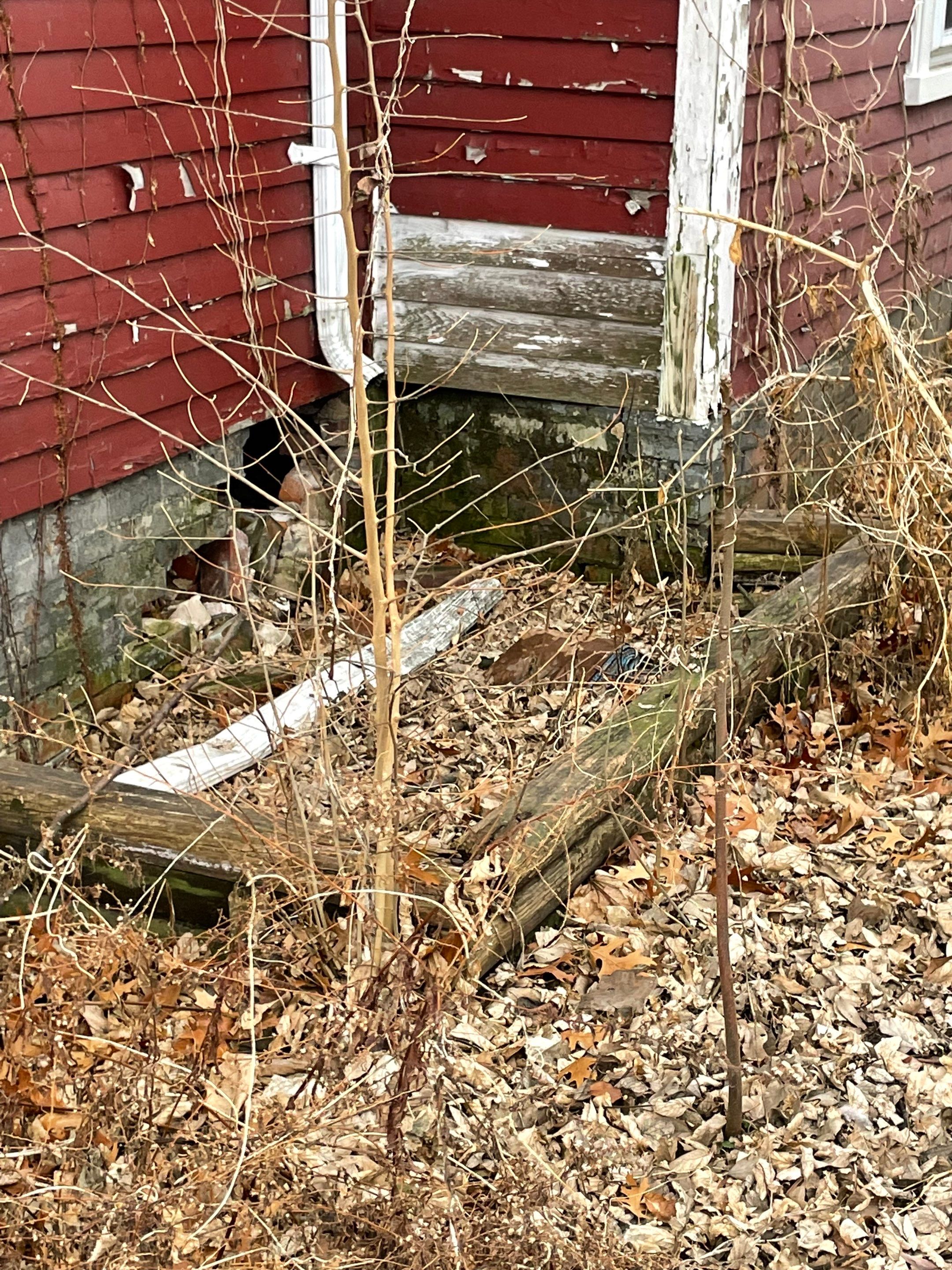 Excavation, Foundation Rebuild, and Masonry Repair by ACE Waterproofing & Basement Solutions