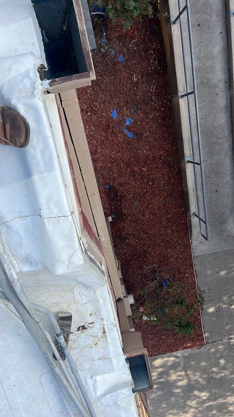 TPO THAI TOP by Bayfront Roofing and Construction