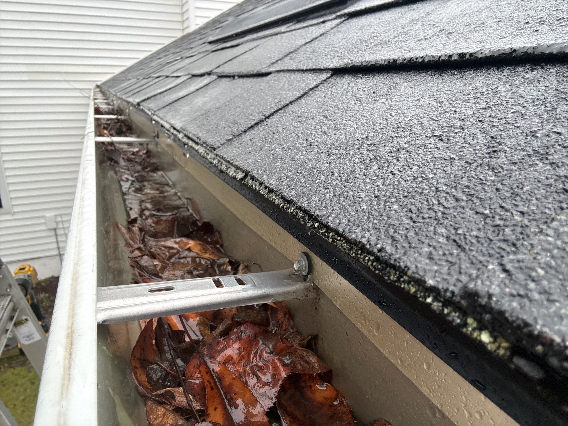 Black screen in Grand Ledge by Sunrise Seamless