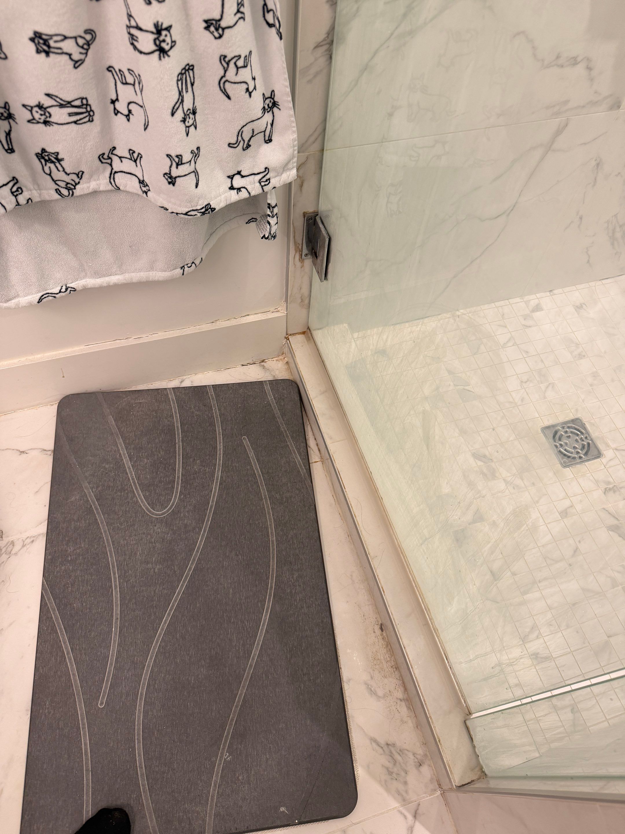 Bathroom Refresh & Mold Remediation in Tub and Shower Area by YVR Construction Group