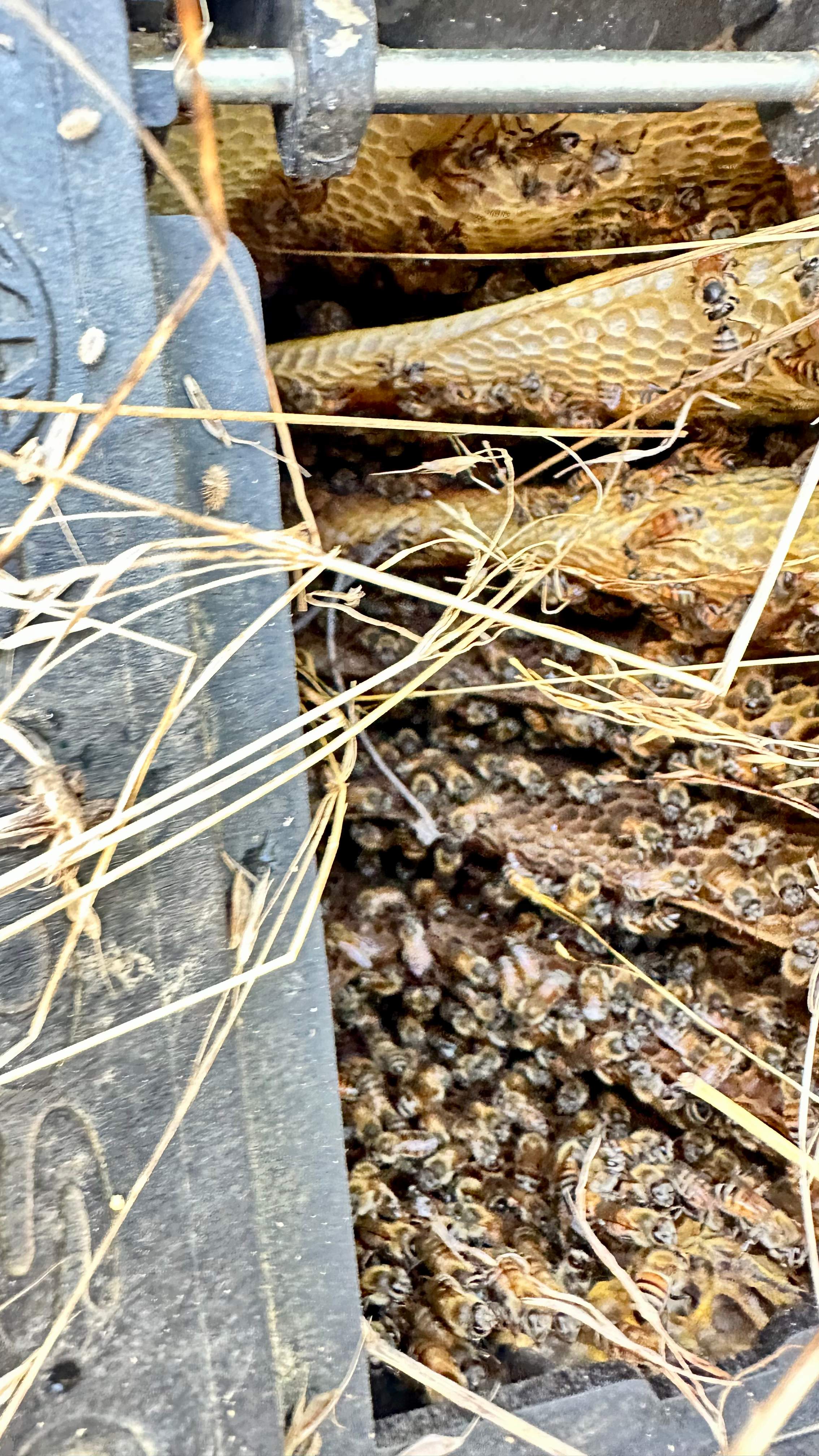 Well Meter by Rockwall Honey Bee Company