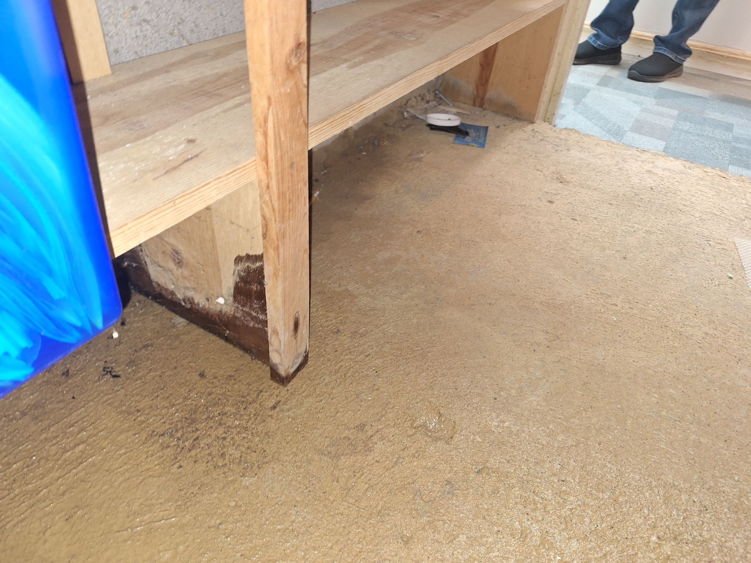 Basement Remediation by ANR Restoration