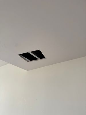 Ceiling Repair